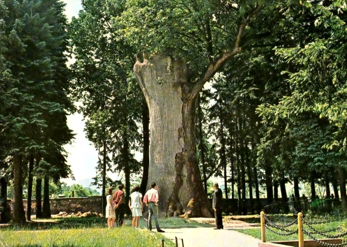 Mormântul lui Horea